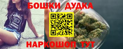 гидра Кинель